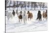 Cowboy horse drive on Hideout Ranch, Shell, Wyoming. Herd of horses running in snow.-Darrell Gulin-Stretched Canvas