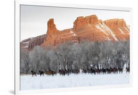 Cowboy horse drive on Hideout Ranch, Shell, Wyoming.-Darrell Gulin-Framed Photographic Print