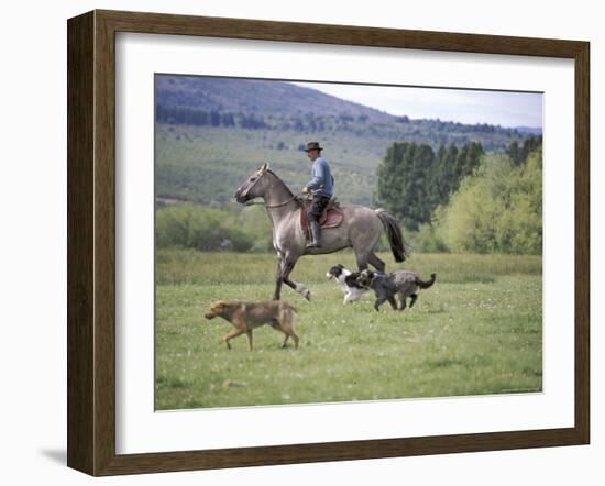 Cowboy in Irrigated Pasture, Chubut Province, Cholila Valley, Argentina-Lin Alder-Framed Photographic Print