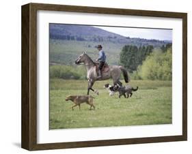 Cowboy in Irrigated Pasture, Chubut Province, Cholila Valley, Argentina-Lin Alder-Framed Photographic Print