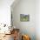 Cowboy in Irrigated Pasture, Chubut Province, Cholila Valley, Argentina-Lin Alder-Mounted Photographic Print displayed on a wall