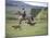 Cowboy in Irrigated Pasture, Chubut Province, Cholila Valley, Argentina-Lin Alder-Mounted Photographic Print