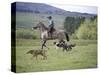 Cowboy in Irrigated Pasture, Chubut Province, Cholila Valley, Argentina-Lin Alder-Stretched Canvas