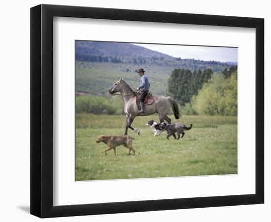 Cowboy in Irrigated Pasture, Chubut Province, Cholila Valley, Argentina-Lin Alder-Framed Photographic Print