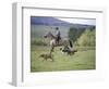 Cowboy in Irrigated Pasture, Chubut Province, Cholila Valley, Argentina-Lin Alder-Framed Photographic Print