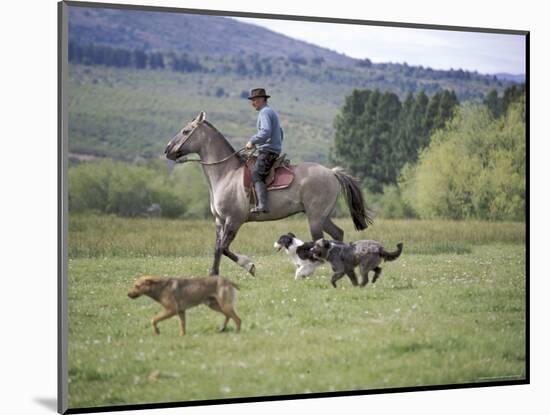 Cowboy in Irrigated Pasture, Chubut Province, Cholila Valley, Argentina-Lin Alder-Mounted Photographic Print