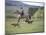 Cowboy in Irrigated Pasture, Chubut Province, Cholila Valley, Argentina-Lin Alder-Mounted Photographic Print