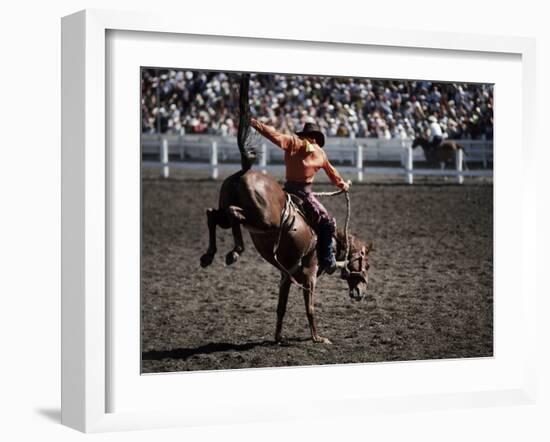 Cowboy in Rodeo-null-Framed Photographic Print