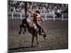 Cowboy in Rodeo-null-Mounted Photographic Print