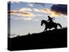 Cowboy in Silhouette with Sunset-Terry Eggers-Stretched Canvas