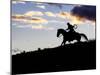 Cowboy in Silhouette with Sunset-Terry Eggers-Mounted Photographic Print
