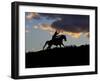 Cowboy in Silhouette with Sunset-Terry Eggers-Framed Photographic Print