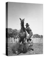 Cowboy Mounting a Horse-Carl Mydans-Stretched Canvas