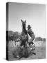 Cowboy Mounting a Horse-Carl Mydans-Stretched Canvas