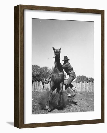 Cowboy Mounting a Horse-Carl Mydans-Framed Photographic Print