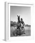 Cowboy Mounting a Horse-Carl Mydans-Framed Photographic Print