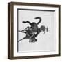 Cowboy Ned Coy Riding Bucking Bronco Named "Boy Dick" Photograph - South Dakota-Lantern Press-Framed Art Print