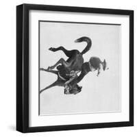 Cowboy Ned Coy Riding Bucking Bronco Named "Boy Dick" Photograph - South Dakota-Lantern Press-Framed Art Print