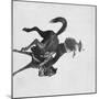 Cowboy Ned Coy Riding Bucking Bronco Named "Boy Dick" Photograph - South Dakota-Lantern Press-Mounted Art Print