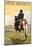 Cowboy - New Mexico-null-Mounted Poster