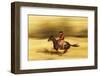 Cowboy on Galloping Horse-Darrell Gulin-Framed Photographic Print