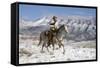 Cowboy On Grey Quarter Horse Trotting In The Snow At Flitner Ranch, Shell, Wyoming-Carol Walker-Framed Stretched Canvas