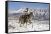 Cowboy On Grey Quarter Horse Trotting In The Snow At Flitner Ranch, Shell, Wyoming-Carol Walker-Framed Stretched Canvas