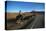Cowboy on his horse on a highway near Hanksville, Utah, USA-null-Stretched Canvas