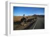 Cowboy on his horse on a highway near Hanksville, Utah, USA-null-Framed Art Print