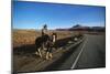 Cowboy on his horse on a highway near Hanksville, Utah, USA-null-Mounted Art Print