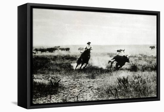 Cowboy on Horseback Lassooing a Calf-L.a. Huffman-Framed Stretched Canvas