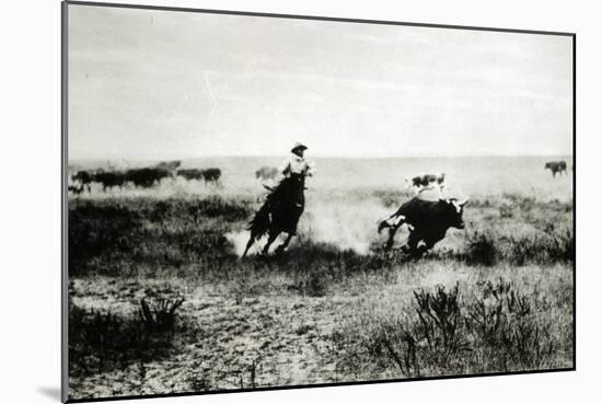Cowboy on Horseback Lassooing a Calf-L.a. Huffman-Mounted Giclee Print