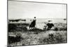 Cowboy on Horseback Lassooing a Calf-L.a. Huffman-Mounted Giclee Print