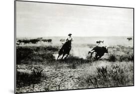 Cowboy on Horseback Lassooing a Calf-L.a. Huffman-Mounted Giclee Print