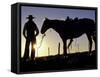 Cowboy on Horseback, Ponderosa Ranch, Seneca, Oregon, USA-Darrell Gulin-Framed Stretched Canvas