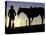 Cowboy on Horseback, Ponderosa Ranch, Seneca, Oregon, USA-Darrell Gulin-Stretched Canvas