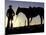 Cowboy on Horseback, Ponderosa Ranch, Seneca, Oregon, USA-Darrell Gulin-Mounted Photographic Print