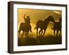 Cowboy on Horseback, Ponderosa Ranch, Seneca, Oregon, USA-Wendy Kaveney-Framed Photographic Print