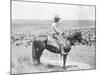 Cowboy on Horseback Watches His Herd Photograph - Texas-Lantern Press-Mounted Art Print