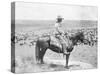 Cowboy on Horseback Watches His Herd Photograph - Texas-Lantern Press-Stretched Canvas