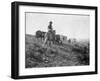 Cowboy on Horseback with Herd of Horses Photograph - Texas-Lantern Press-Framed Art Print