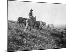 Cowboy on Horseback with Herd of Horses Photograph - Texas-Lantern Press-Mounted Art Print