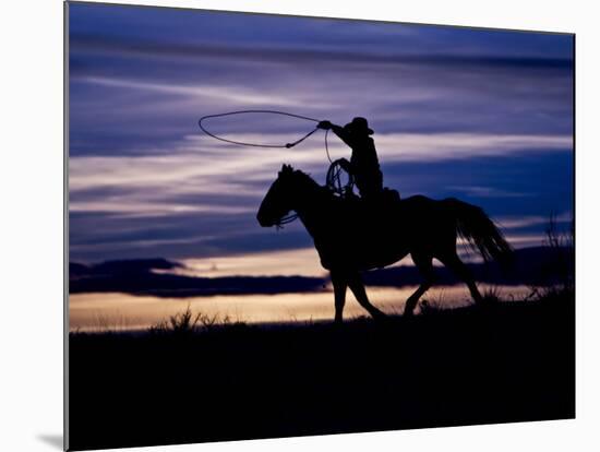 Cowboy on Horses on Hideout Ranch, Shell, Wyoming, USA-Joe Restuccia III-Mounted Photographic Print