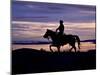 Cowboy on Horses on Hideout Ranch, Shell, Wyoming, USA-Joe Restuccia III-Mounted Photographic Print