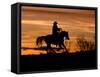Cowboy on Horses on Hideout Ranch, Shell, Wyoming, USA-Joe Restuccia III-Framed Stretched Canvas