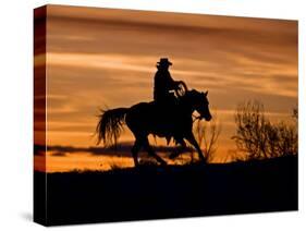 Cowboy on Horses on Hideout Ranch, Shell, Wyoming, USA-Joe Restuccia III-Stretched Canvas