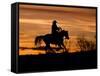 Cowboy on Horses on Hideout Ranch, Shell, Wyoming, USA-Joe Restuccia III-Framed Stretched Canvas