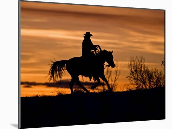 Cowboy on Horses on Hideout Ranch, Shell, Wyoming, USA-Joe Restuccia III-Mounted Photographic Print