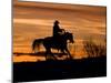 Cowboy on Horses on Hideout Ranch, Shell, Wyoming, USA-Joe Restuccia III-Mounted Photographic Print