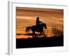 Cowboy on Horses on Hideout Ranch, Shell, Wyoming, USA-Joe Restuccia III-Framed Photographic Print